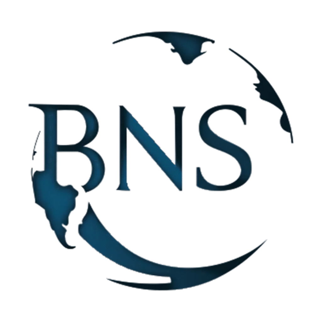 bns logo